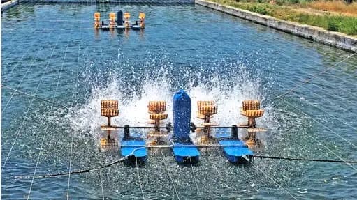 Pond aerator used in fish farming operations