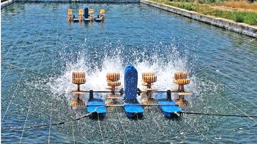 Pond aerator used in fish farming operations